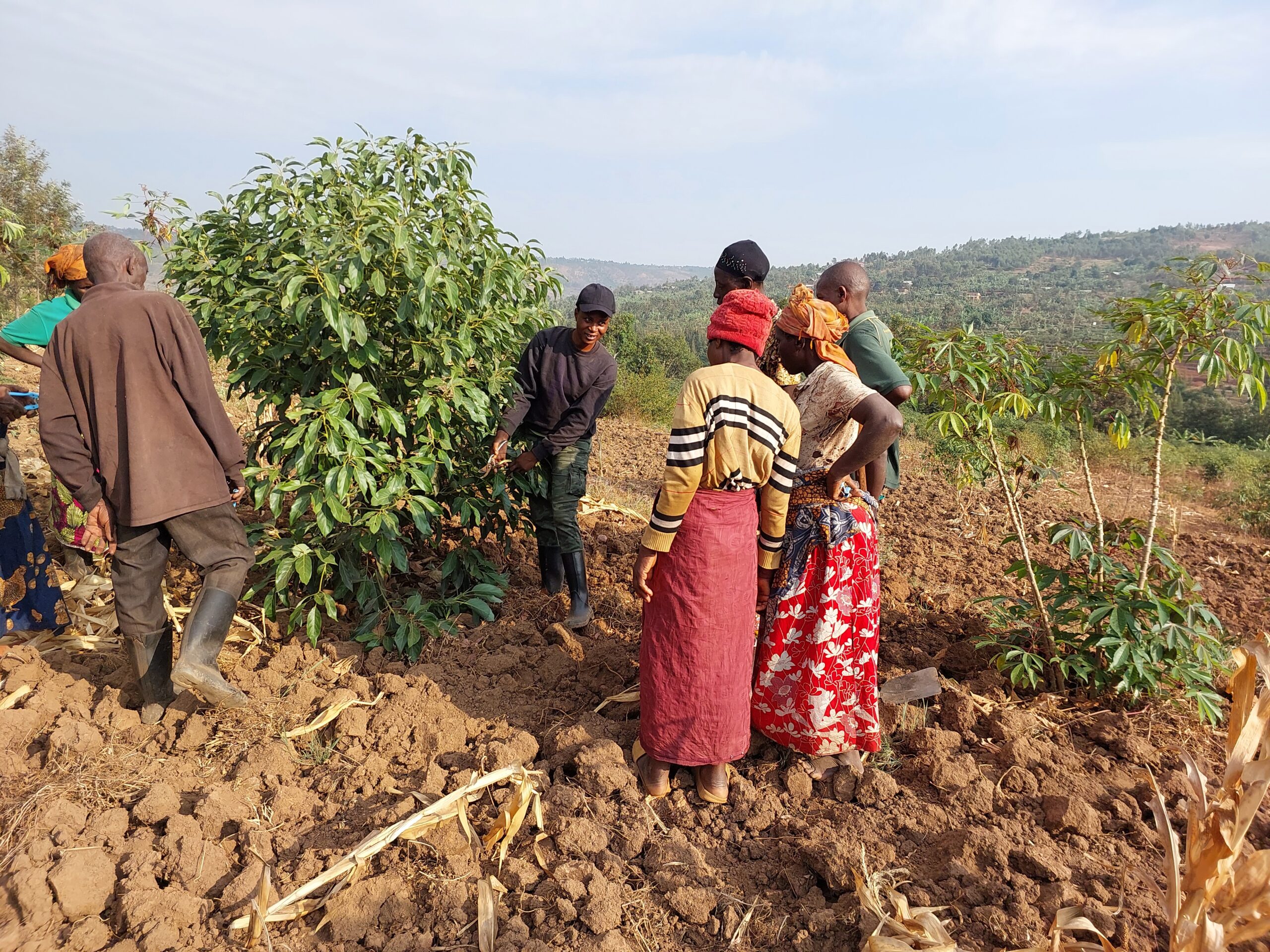 Empowering Farmers: The Success of Our Farmer Education Programs in Muhanga